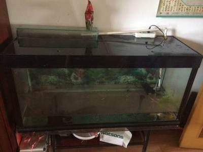 0.4米魚缸指的是長么