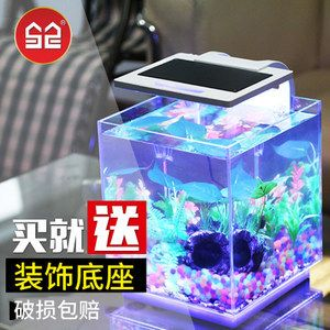 斗魚缸裝飾：關于斗魚缸裝飾的一些詳細信息