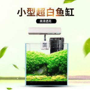 斗魚缸裝飾：關于斗魚缸裝飾的一些詳細信息