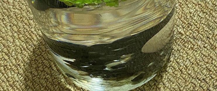 北京藍色漫步科技有限公司（北京藍色漫步科技有限公司怎么樣）