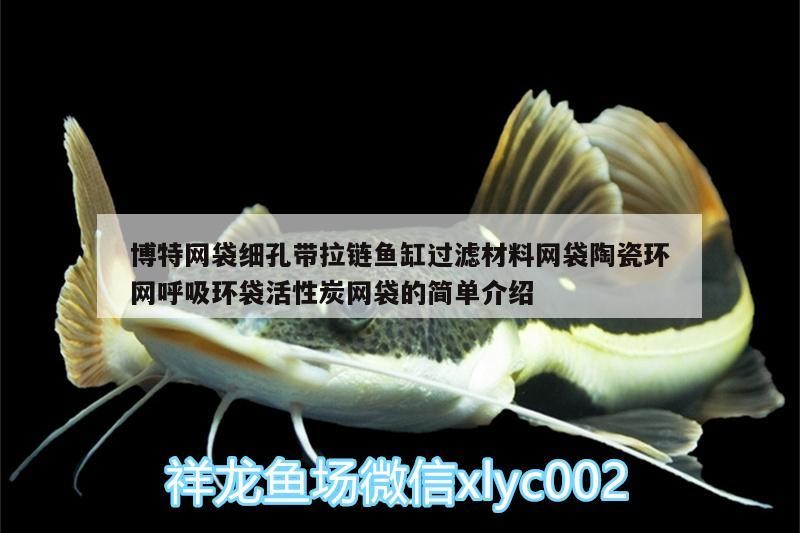龍魚干蝦有營養(yǎng)嗎 博特網(wǎng)袋細孔帶拉鏈魚缸過濾材料網(wǎng)袋陶瓷環(huán)網(wǎng)呼吸環(huán)袋活性炭網(wǎng)袋的簡單介紹 博特水族 博特網(wǎng)袋細孔帶拉鏈魚缸過濾材料網(wǎng)袋陶瓷環(huán)網(wǎng)呼吸環(huán)袋活性炭網(wǎng)袋的簡單介紹 博特網(wǎng)袋細孔帶拉鏈魚缸過濾材料網(wǎng)袋陶瓷環(huán)網(wǎng)呼吸環(huán)袋活性炭網(wǎng)袋的簡單介紹 博特水族