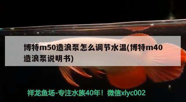 博特m50造浪泵怎么調(diào)節(jié)水溫(博特m40造浪泵說明書)