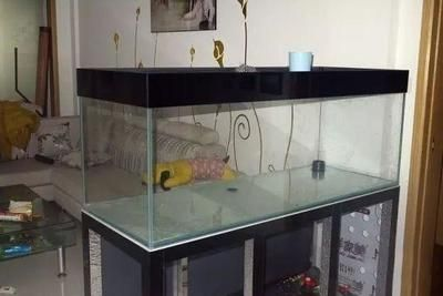 1.5米魚缸制作成本多少：1.5米魚缸制作成本多少，魚缸制作成本需要考慮哪些因素