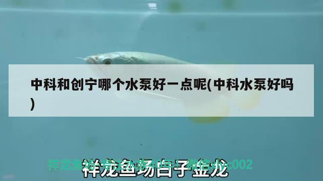 中科和創寧哪個水泵好一點呢(中科水泵好嗎)