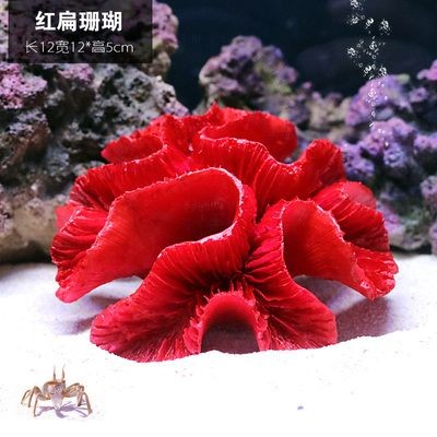 扁的魚缸怎么造景的視頻：尋找扁的魚缸造景的視頻教程:魚缸造景教程分享