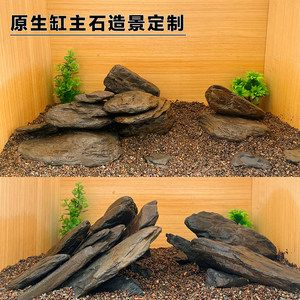 扁的魚缸怎么造景的視頻：尋找扁的魚缸造景的視頻教程:魚缸造景教程分享