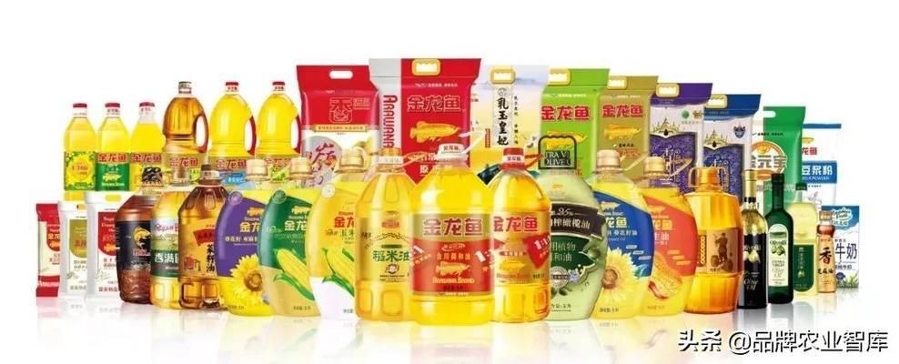 星點金龍魚專用飼料效果：星點金龍魚專用飼料品牌好壞的辨別方法星點金龍魚專用飼料效果