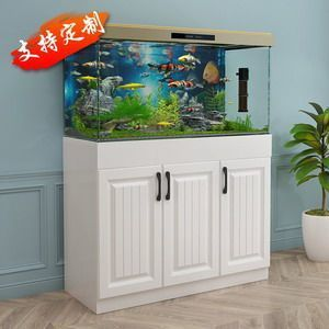 大型魚缸回收價格多少一個：關于大型魚缸回收價格的問題