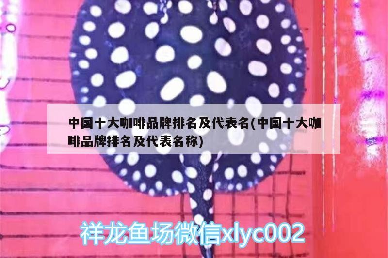 中國十大咖啡品牌排名及代表名(中國十大咖啡品牌排名及代表名稱)