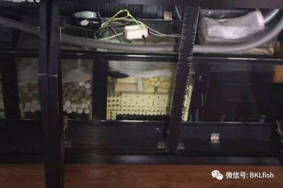 創寧水泵官方網站首頁電話查詢（創寧水泵官方網站首頁電話查詢號碼）