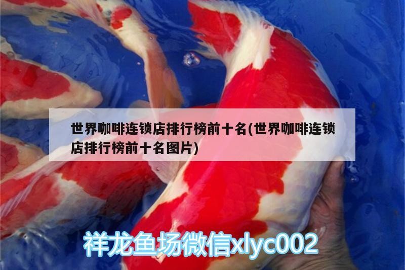 世界咖啡連鎖店排行榜前十名(世界咖啡連鎖店排行榜前十名圖片)