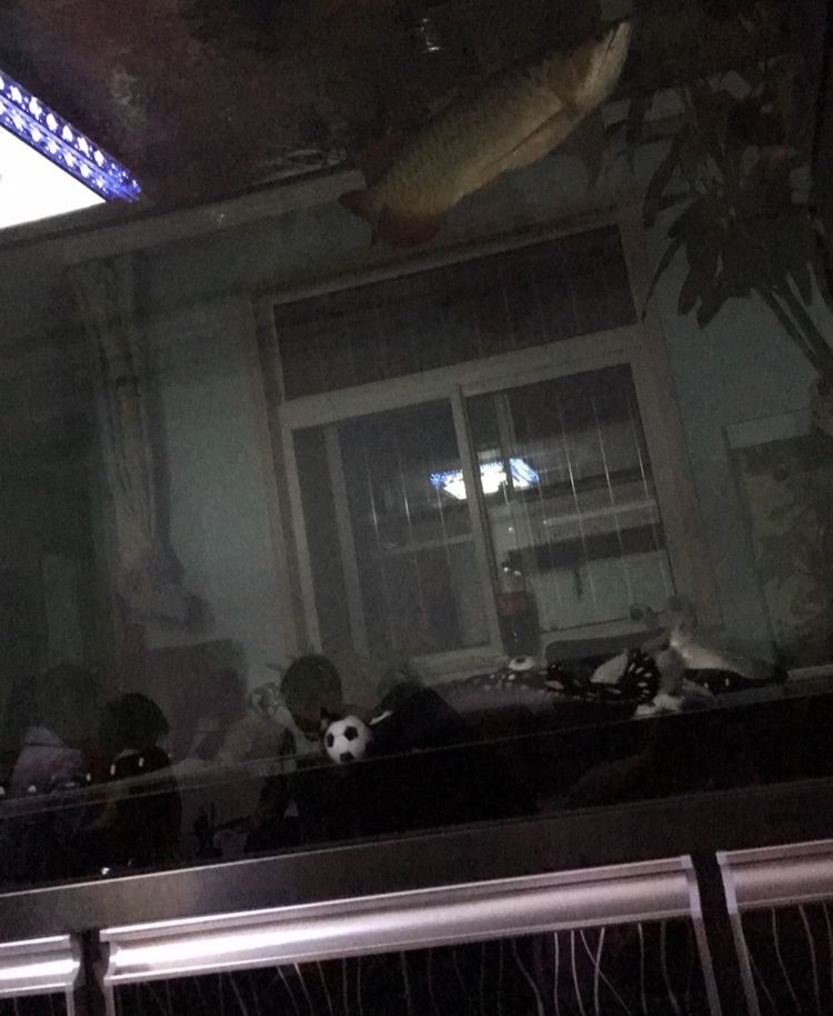 博特精品養(yǎng)水王牌一直關注博特水泵