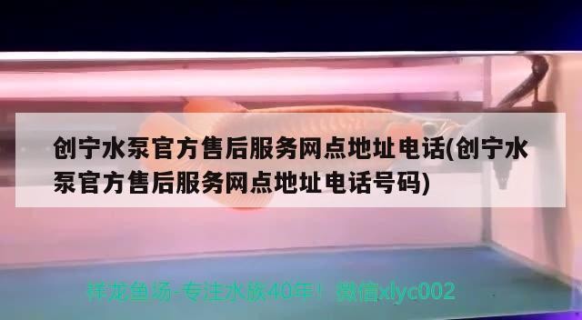創(chuàng)寧水泵官方售后服務(wù)網(wǎng)點地址電話(創(chuàng)寧水泵官方售后服務(wù)網(wǎng)點地址電話號碼)