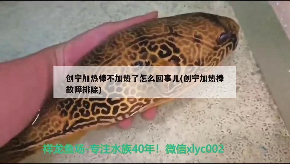 創寧加熱棒不加熱了怎么回事兒(創寧加熱棒故障排除)