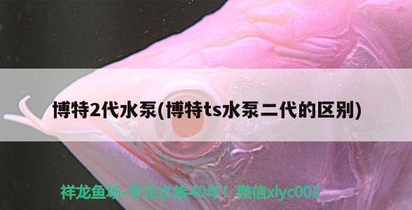 博特2代水泵(博特ts水泵二代的區別)