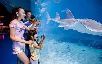 云浮水族館vs祥龍魚場（云浮水族館和祥龍魚場各有特點）