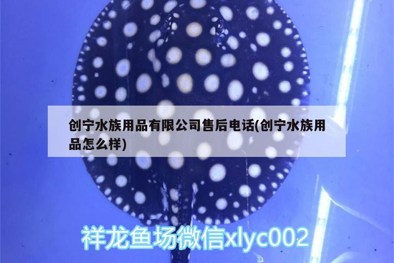 創寧水族用品有限公司售后電話(創寧水族用品怎么樣)