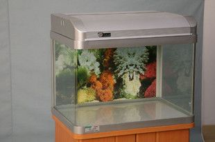 成品魚缸玻璃是鋼化的嗎為什么：成品魚缸玻璃不一定是鋼化玻璃一般不是鋼化玻璃
