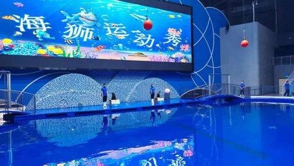 濱州水族館vs祥龍魚(yú)場(chǎng)（濱州水族館與祥龍魚(yú)場(chǎng)各有特點(diǎn)）