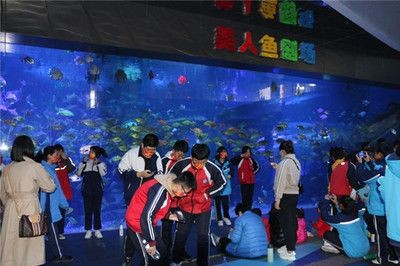 濱州水族館vs祥龍魚(yú)場(chǎng)（濱州水族館與祥龍魚(yú)場(chǎng)各有特點(diǎn)）