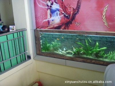 大型魚缸那么多,買哪個好