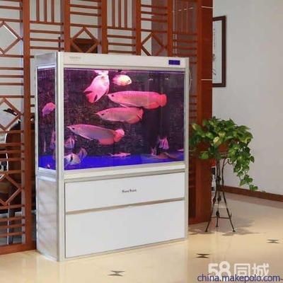 80厘米的魚缸大約多少錢一個小時：自制80厘米的魚缸價格在300元左右，需要注意什么