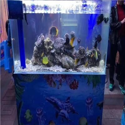 80厘米的魚缸大約多少錢一個小時：自制80厘米的魚缸價格在300元左右，需要注意什么