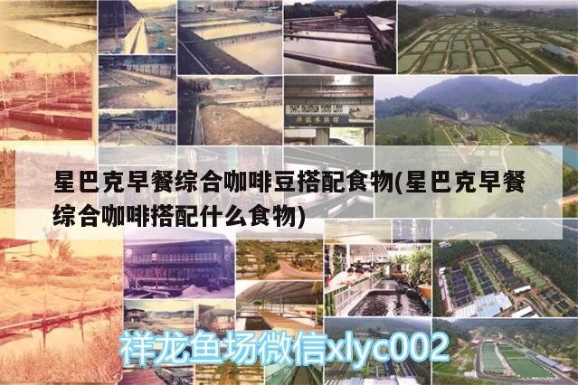 星巴克早餐綜合咖啡豆搭配食物(星巴克早餐綜合咖啡搭配什么食物)
