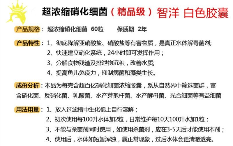 魟魚專用藥物選擇指南：魟魚專用藥物品牌排行,魟魚內疾與外疾區別