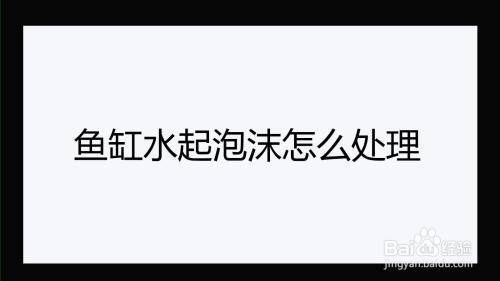 雞西市雞冠區(qū)魚樂(lè)坊水族館（雞西市雞冠區(qū)魚樂(lè)坊水族館電話）