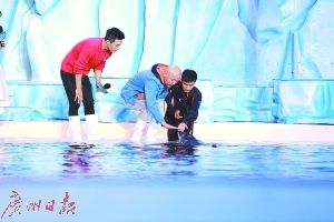 咸寧水族館vs祥龍魚場（咸寧水族館與祥龍魚場各有側重）