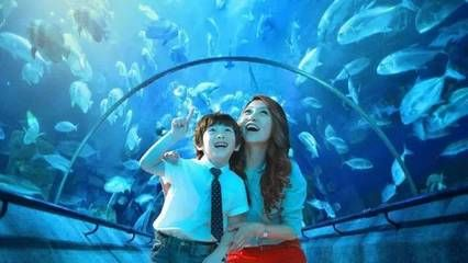 咸寧水族館vs祥龍魚場（咸寧水族館與祥龍魚場各有側重）