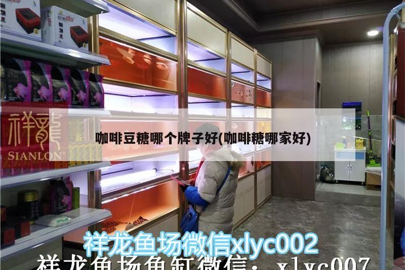 咖啡豆糖哪個牌子好(咖啡糖哪家好)