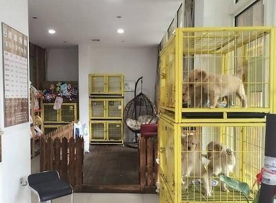 巴南哪里有魚缸賣的：巴南區(qū)內(nèi)魚缸銷售和定制