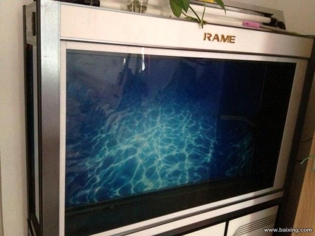 rame魚缸售后：rame品牌的魚缸在京東平臺上銷售