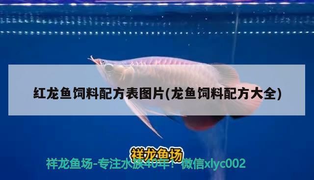 紅龍魚飼料配方表圖片(龍魚飼料配方大全)