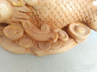 和田龍魚vs祥龍魚場(chǎng)（和田龍魚與祥龍魚場(chǎng)有什么區(qū)別？）