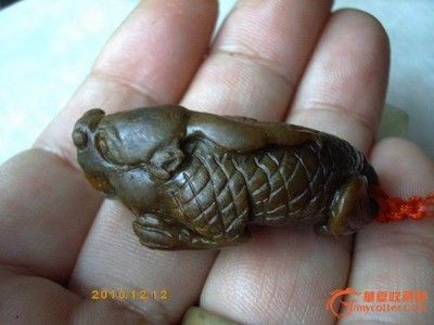 和田龍魚vs祥龍魚場(chǎng)（和田龍魚與祥龍魚場(chǎng)有什么區(qū)別？）