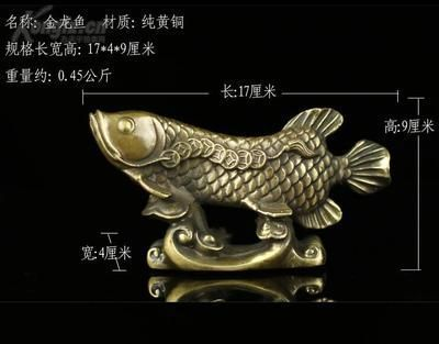 金龍魚長多長才長寬，家庭養(yǎng)金龍魚技巧分享,金龍魚生長影響因素