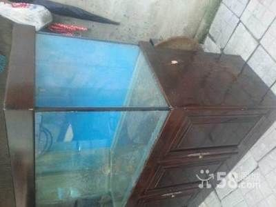 1米2長的魚缸多高多寬合適：1米2長的魚缸合適的寬度和高度并沒有一個固定的答案