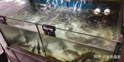 超市魚缸制作視頻教學：超市魚缸制作教程