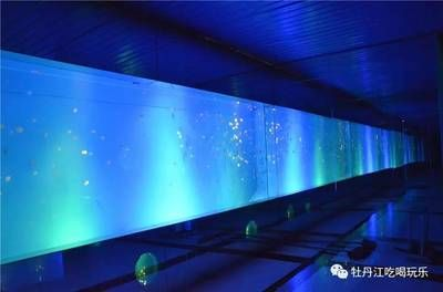 牡丹江水族館vs祥龍魚(yú)場(chǎng)（牡丹江水族館與祥龍魚(yú)場(chǎng)各有其特色和優(yōu)勢(shì)）