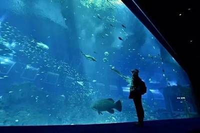 牡丹江水族館vs祥龍魚(yú)場(chǎng)（牡丹江水族館與祥龍魚(yú)場(chǎng)各有其特色和優(yōu)勢(shì)）