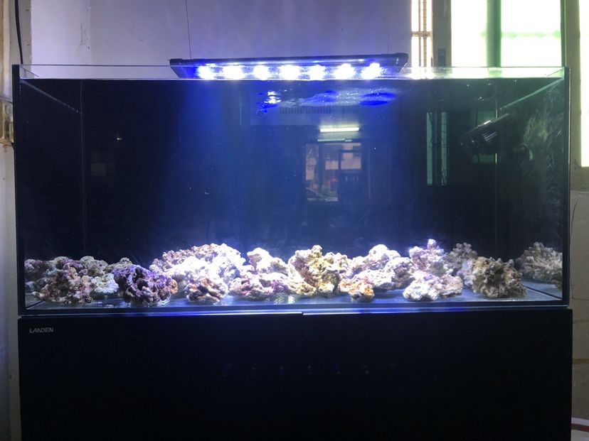 臨海市龍慶祥水族店