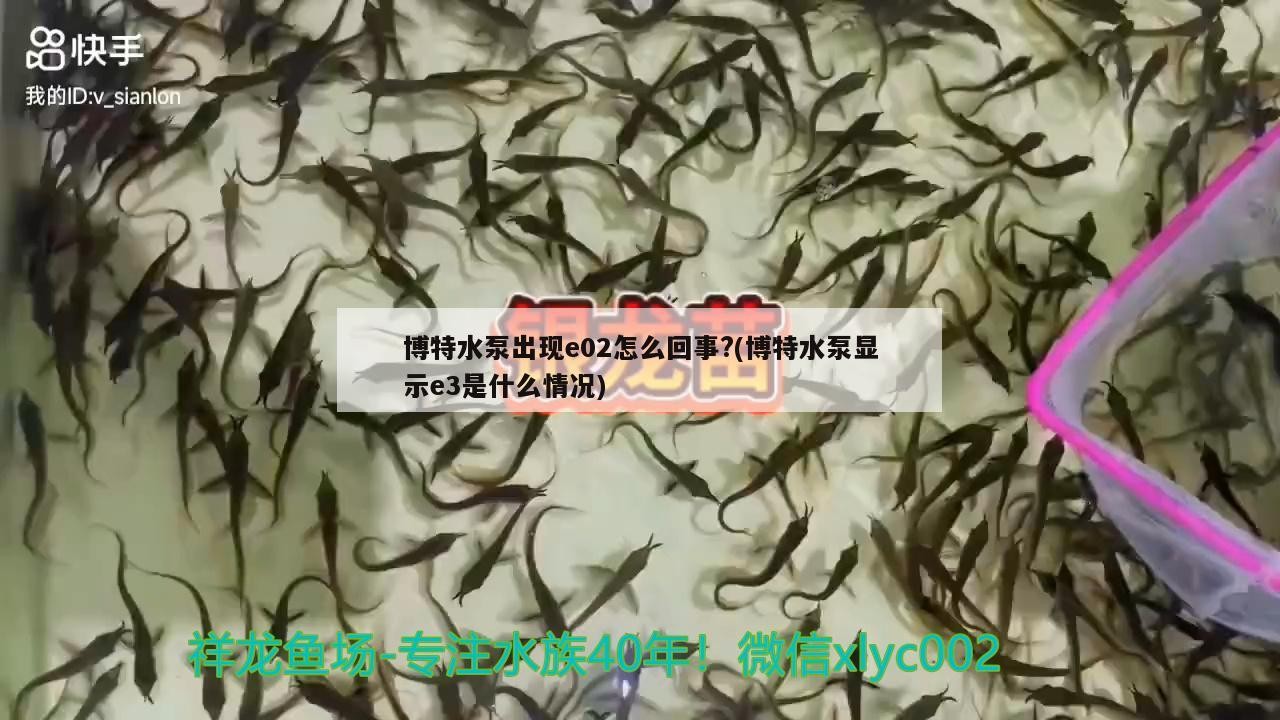 博特水泵出現e02怎么回事?(博特水泵顯示e3是什么情況)
