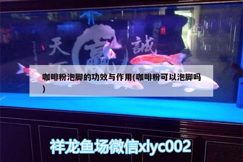 咖啡粉泡腳的功效與作用(咖啡粉可以泡腳嗎)