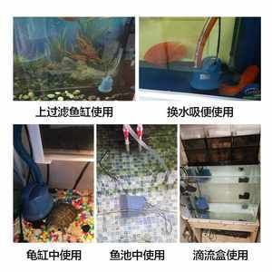 動森魚缸怎么弄：《動物森友會》動森釣魚技巧大揭秘釣魚技巧大揭秘