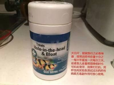 魟魚不吃食用大白片？：如何處理不吃食的魟魚