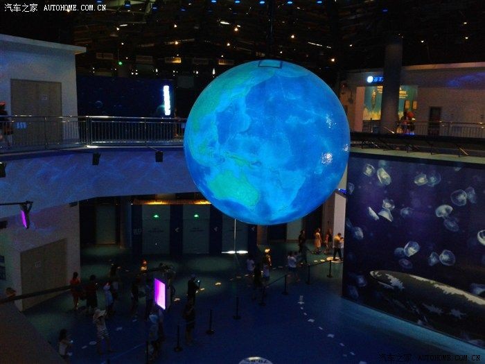 金龍魚適合多少溫度：金龍魚適合多少溫度的水?