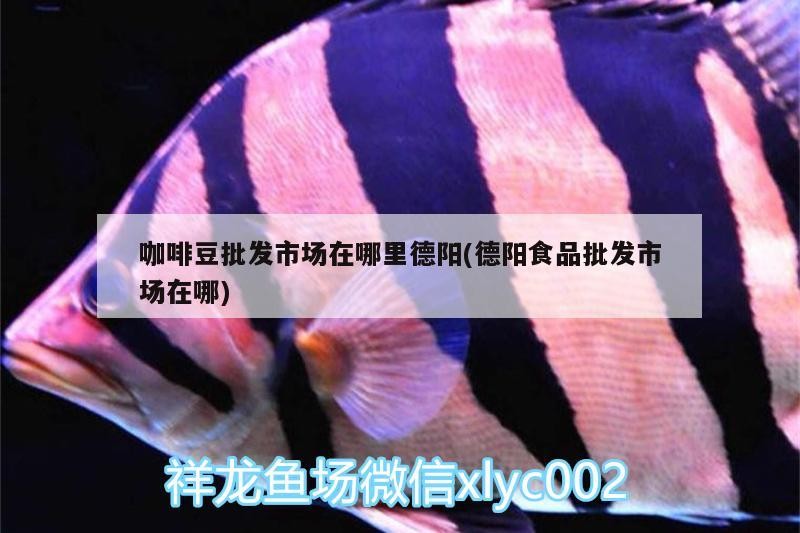 魚身上長白色絮狀物會傳染水霉病嗎？，如何判斷魚身上白色絮狀物會傳染嗎？